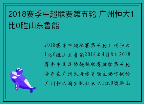 2018赛季中超联赛第五轮 广州恒大1比0胜山东鲁能